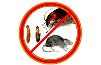 Apc Controle de Pragas - Foto 1