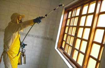 Dedetizadora Scorpions - Foto 1