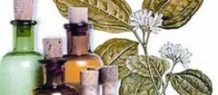 farmacias-de-homeopatia-sao-luis-1376329910