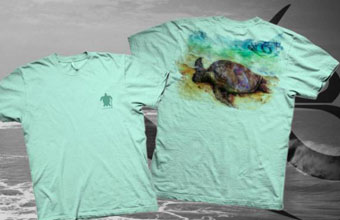 Marcelo Surf - Foto 1