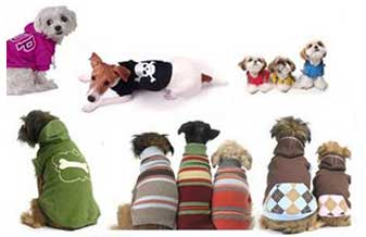 Cães e Cia - Foto 1