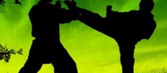 tae-kwon-do-sao-luis-1376315710