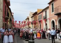 Blocos e grupos tradicionais