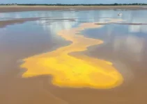 vazamento químico em São Luís