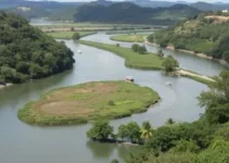 protagonismo social na defesa dos rios
