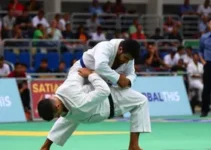Campeonato Brasileiro Regional de Judô
