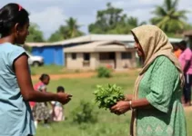 mutirões de serviços