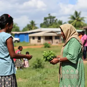 mutirões de serviços