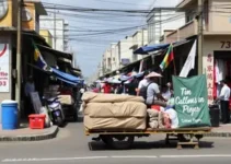 Avenida Senador Vitorino Freire