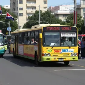 greve parcial