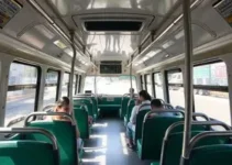 transporte gratuito entre São Luís e Icatu