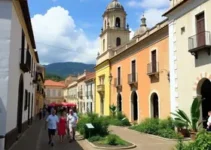 Caminhos da Cultura