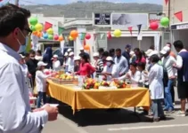 Comércio e serviços terão alterações neste dia de São Pedro