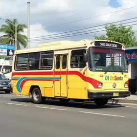 Transporte Fora do Domicílio