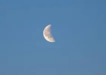 eclipse lunar parcial
