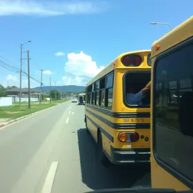valorização de monitores do transporte escolar