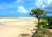 Maranhão
