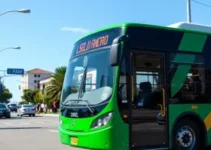 STF transporte por aplicativo greve de ônibus