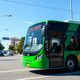 STF transporte por aplicativo greve de ônibus