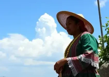 Últimas noticias de São Luís